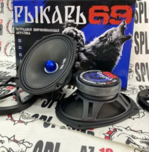 Динамики AZ-13 SPL Power Рыкарь 69 эстрадные широкополосные, 150/300 Вт, 92 дБ, 80-20000 Гц