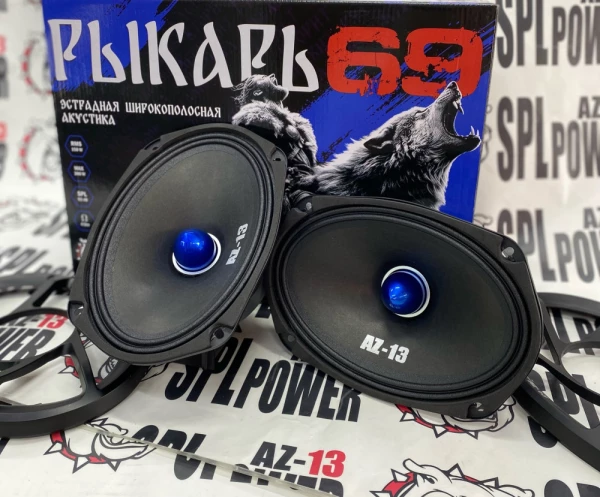 Динамики AZ-13 SPL Power Рыкарь 69 эстрадные широкополосные, 150/300 Вт, 92 дБ, 80-20000 Гц