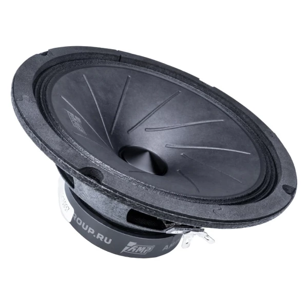 Динамики AMP MASS FR65 45/90 Вт широкополосная система