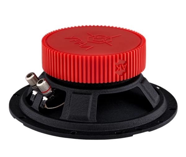 Динамики УРАЛ АК 16 см / 6"