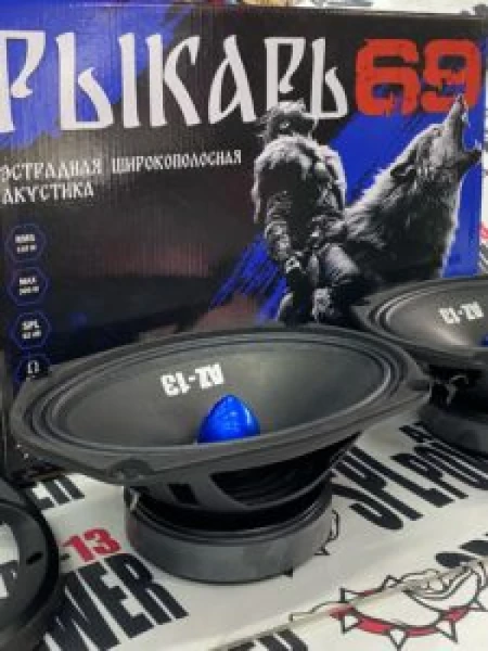 Динамики AZ-13 SPL Power Рыкарь 69 эстрадные широкополосные, 150/300 Вт, 92 дБ, 80-20000 Гц